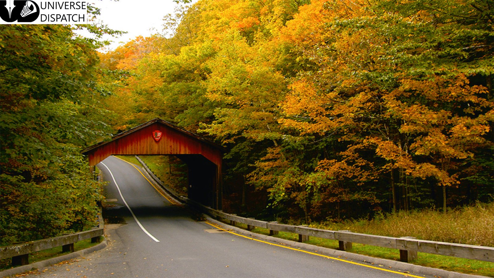 US: Top 8 road trips and picturesque drives to visit