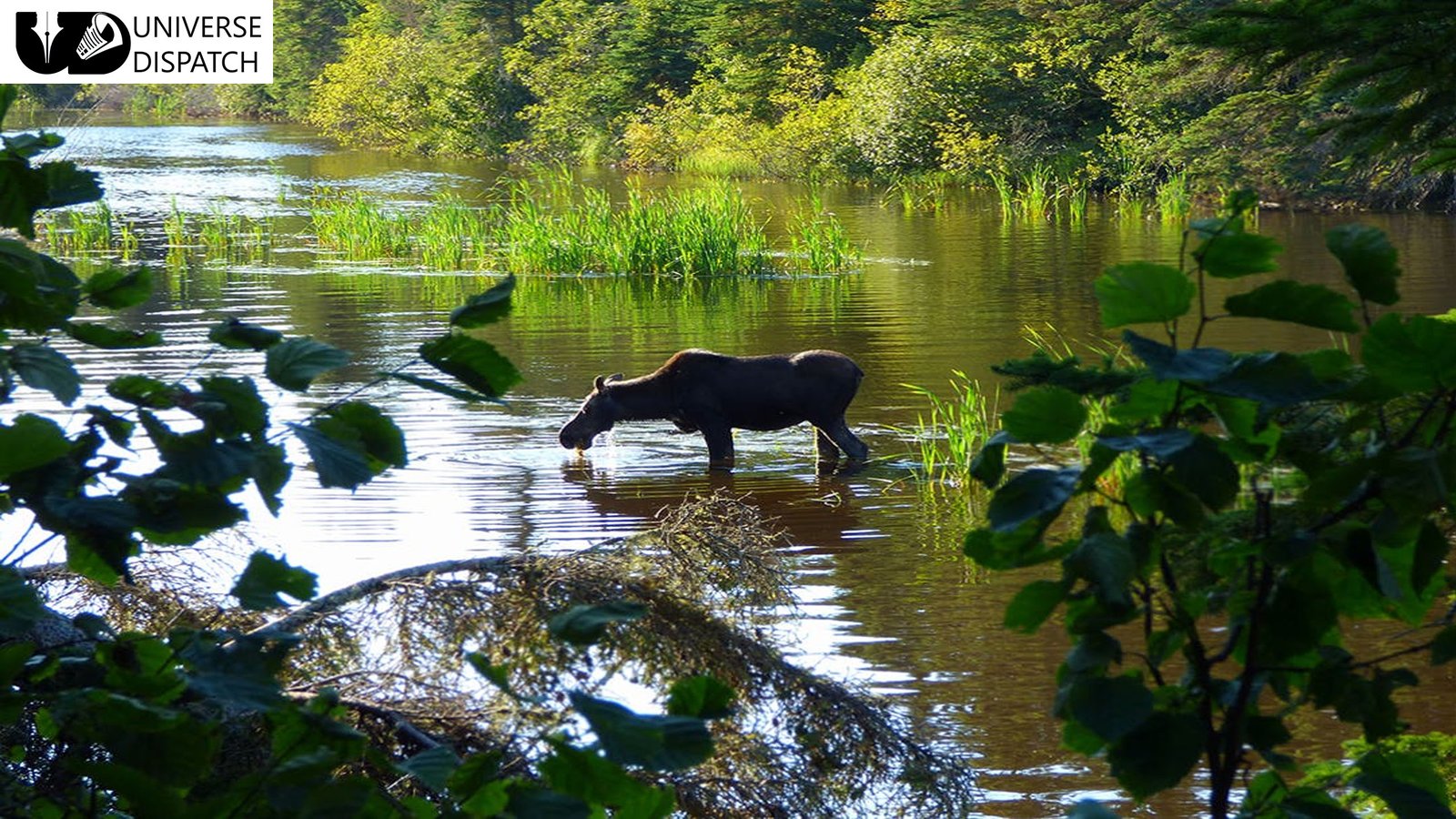 Top 11 US National Parks that are total hidden gems