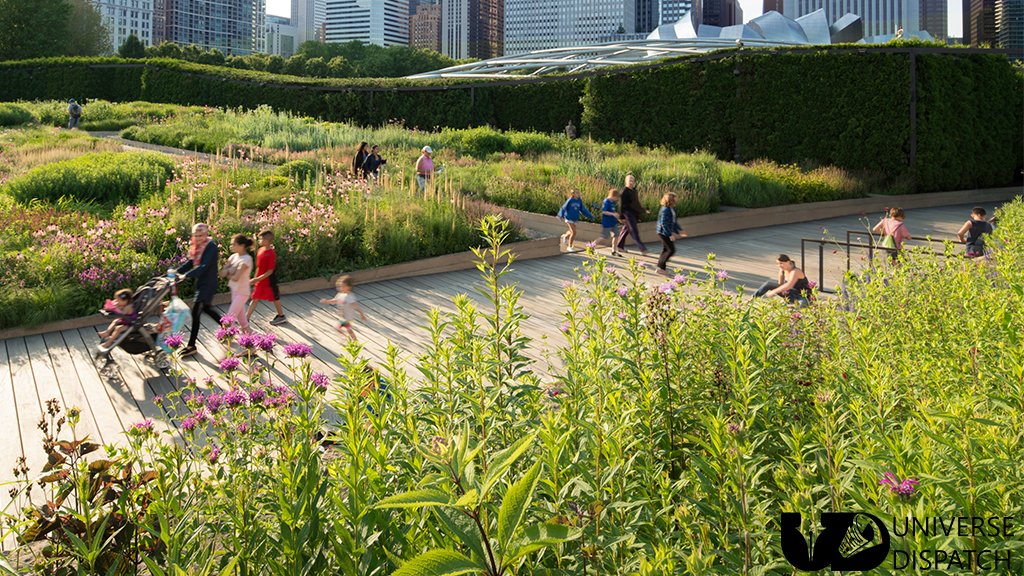 25 best free things to do in Chicago